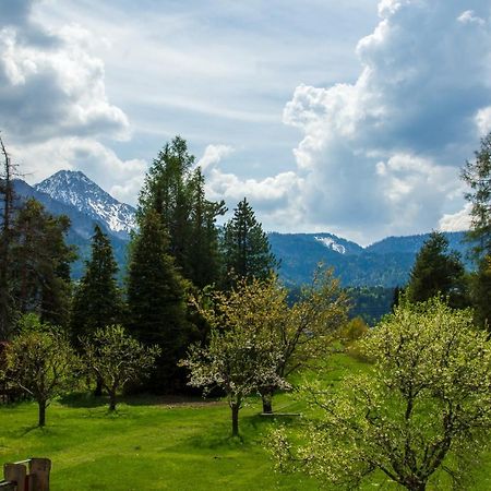 Apartmán Gaestehaus Schreier Ledenitzen Exteriér fotografie