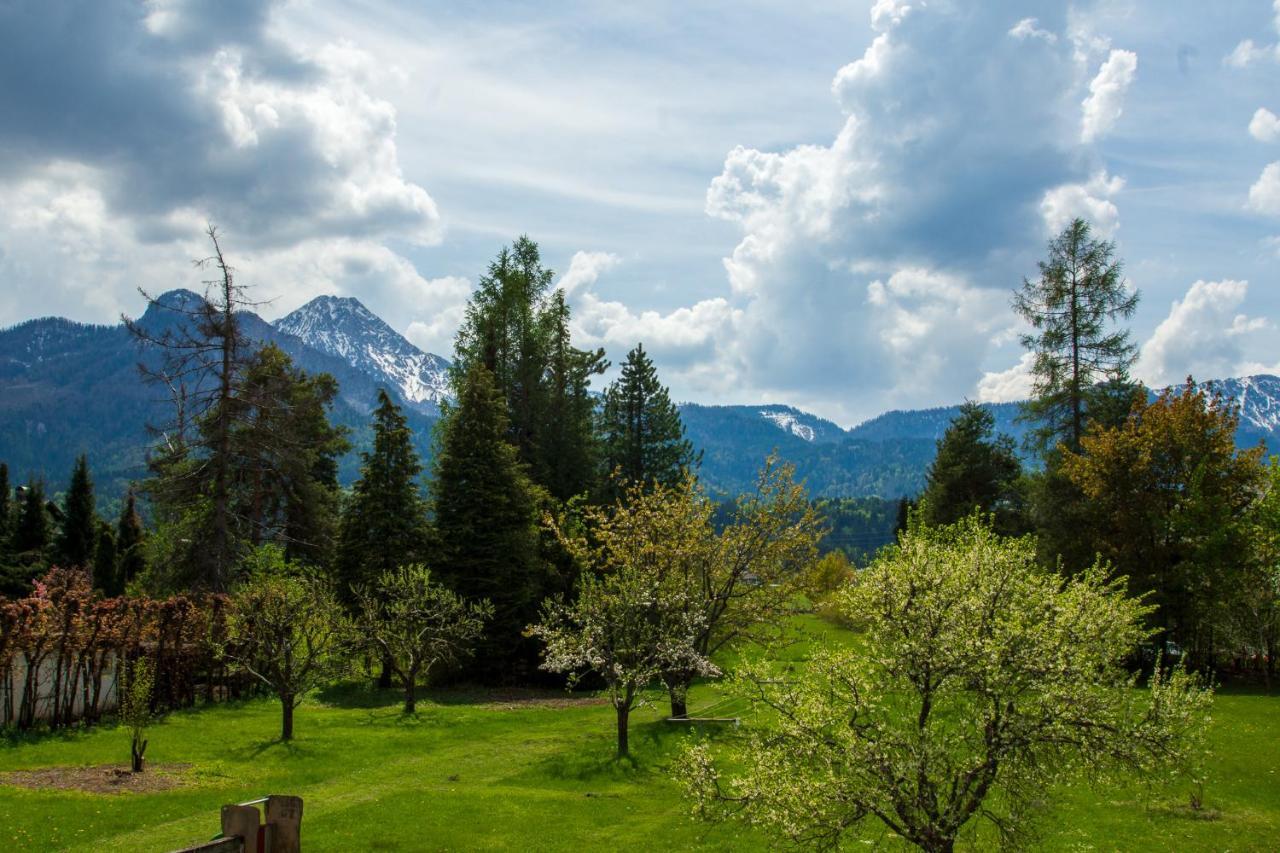 Apartmán Gaestehaus Schreier Ledenitzen Exteriér fotografie